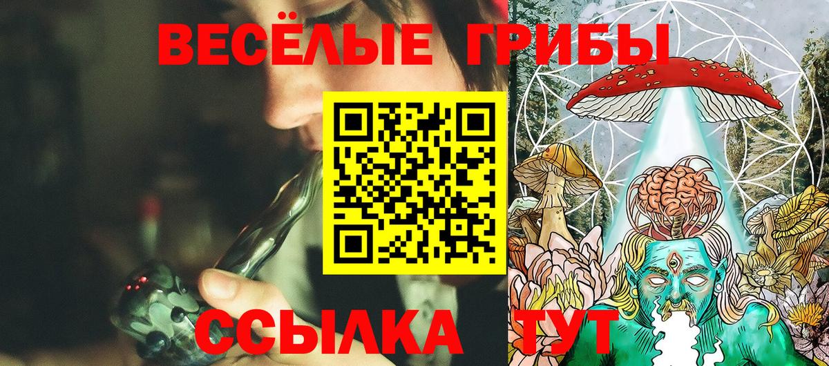 где продают наркотики  Вход с VPN  Псилоцибиновые грибы ЛСД  Сегежа  Галлюциногенные грибы прущие грибы 