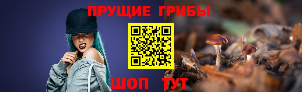 Псилоцибиновые грибы ЛСД Сегежа